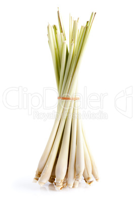 Lemon Grass