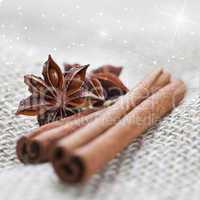 weihnachtliche Gewürze / christmas spices