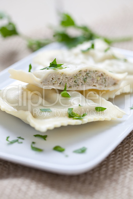 Maultaschen / filled Ravioli