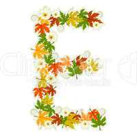 Pattern floral letter E