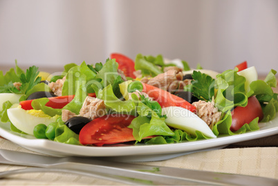 Vegetable salad with tuna and egg