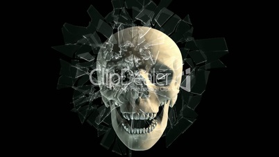 Skull breaking window