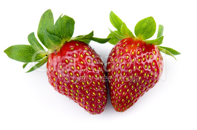 Fresh Isolated Strawberries