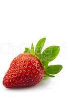 Fresh strawberry