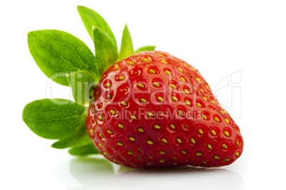 Fresh strawberry