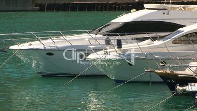 White yachts