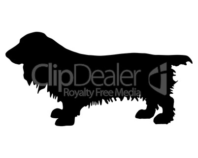 Field Spaniel Silhouette