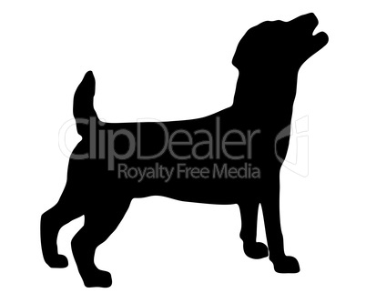 Jack Russel Terrier Silhouette