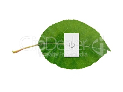 Green Leaf