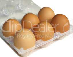 Eggs picture