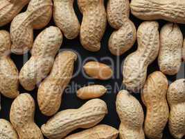 Peanut picture