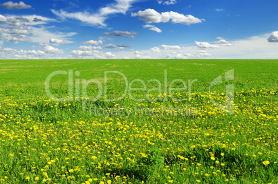 green field green field