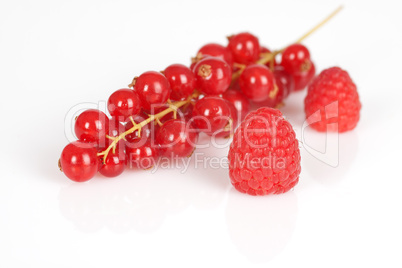 Himbeeren Johannisbeeren