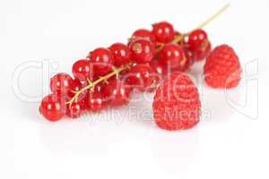 Himbeeren Johannisbeeren