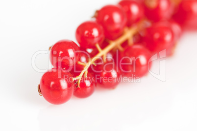 Johannisbeeren