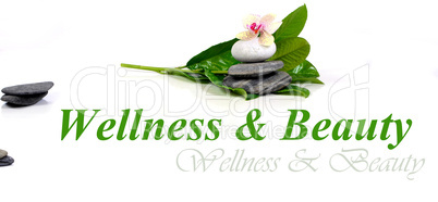 Wellness  Steine