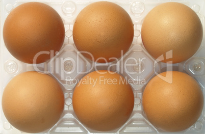 Eggs picture Eggs picture