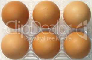 Eggs picture