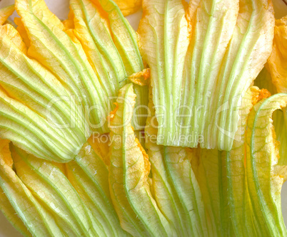 Courgette flowers