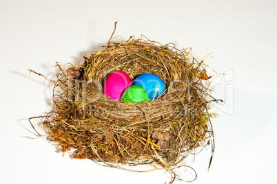 Osternest, easter eggs in a nest