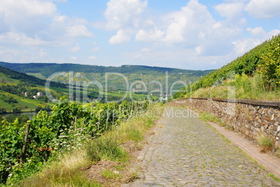 Pflasterweg nach Wolf