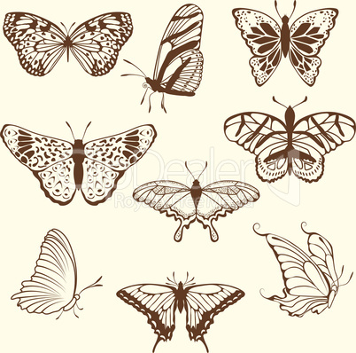 Set of differnet sketch butterfly