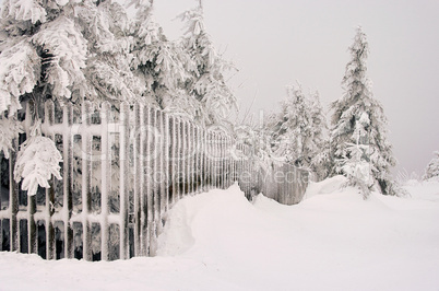 Zaun im Winter - fence in winter 03