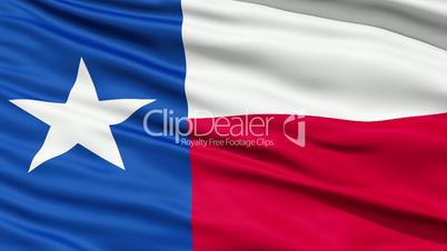 The State of Texas Flag