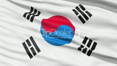 The South Korea Flag