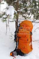 Backpack in snowy pine wood