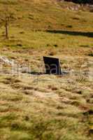 laptop standing on the grass on the hillside