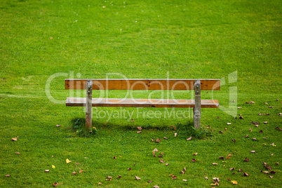 lone bench on green grass background