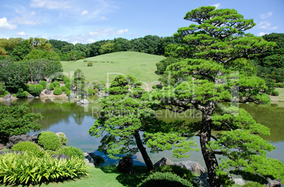 Japanese garden