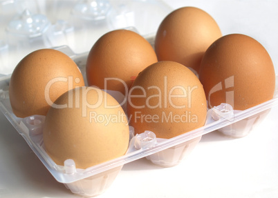 Eggs picture