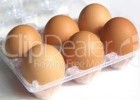 Eggs picture