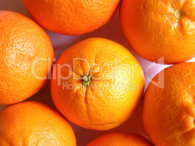 Oranges picture