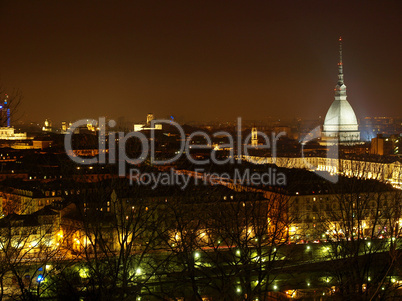 Turin view