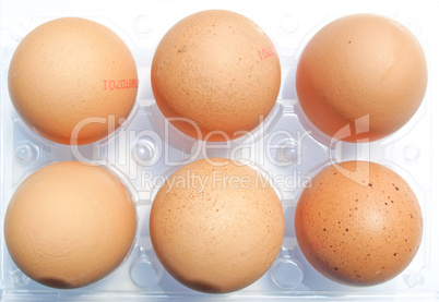 Eggs picture