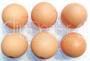 Eggs picture