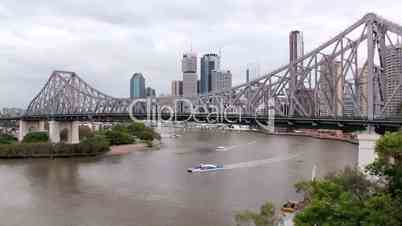 Story Bridge 2 Cat