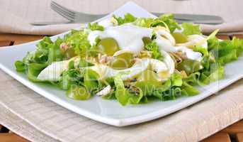 Light salad with yogurt