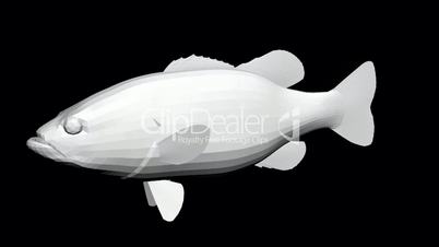 Moving of 3D fish.sea,ocean,water,animal,isolated,tropical,underwater,aquarium,