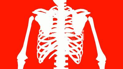 Rotation of 3D skeleton.ribs,chest,anatomy,human,medical,body,skull,biology,medicine,science,bone,