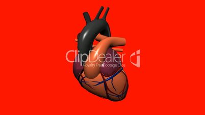 Rotation of heart.love,medical,health,pulse,medicine,care,heartbeat,