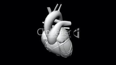 Rotation of heart.love,medical,health,pulse,medicine,care,heartbeat,