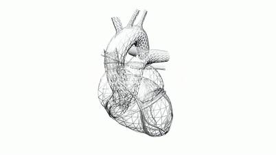 Rotation of heart.love,medical,health,pulse,medicine,care,heartbeat,Grid,mesh,sketch,structure,