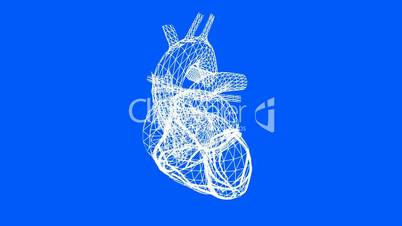 Rotation of heart.love,medical,health,pulse,medicine,care,heartbeat,Grid,mesh,sketch,structure,