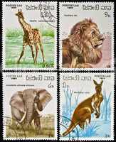 Collection of wild animals stamps.