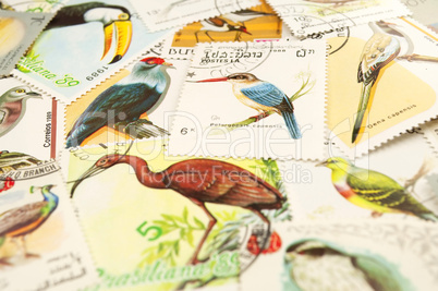 Birds stamps