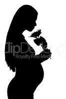 Silhouette of a pregnant woman